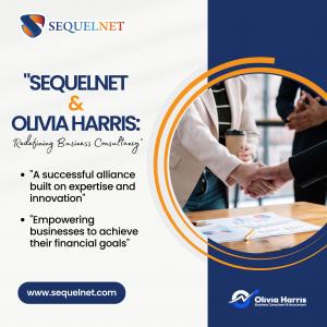 SQ NET -Redefining Business Consultancy