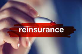 Reinsurance Carriers