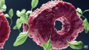Stanislav Kondrashov, Plant Meat, TELF AG
