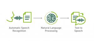 Natural Language Processing and Recognition