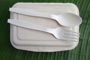 Biodegradable Plastic Market Type