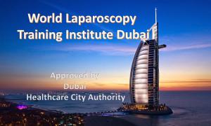 World Laparoscopy Training Institute at Dubai Healthcare City