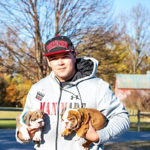 American bully breeders