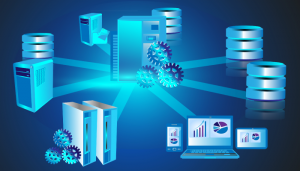 Database Management System