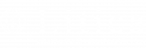 Litica white logo on transparent background, featuring a world icon with moving circles. The word 'Litica' is displayed in lowercase Times New Roman font, while 'Removing Risk, Enabling Success' is written in uppercase Product Sans Modern font.