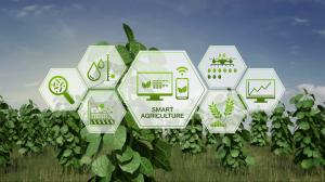 Smart Agriculture Solution Market