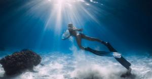 Free diving in the crystal clear waters of Hawaii