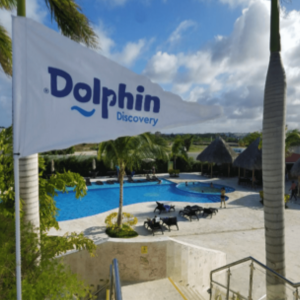 dolphin discovery punta cana beach club
