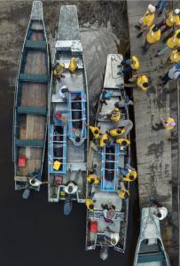 Crew Releasing Manatee in the Peruvian Amazon - Photo by The Dallas World Aquarium