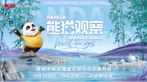 The premiere of ‘Panda Wandering’ received praise, and ‘Panda Anchor’ sparked a ‘Panda Wind’ craze