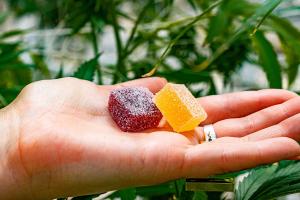 Premium Magic CBD Gummies