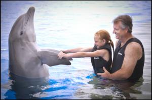 Marineland Dolphin Encounter