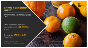 Citrus Concentrate Market by Source