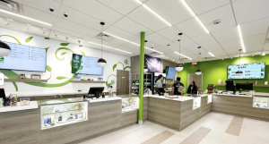 Inside the Tree of Life Cannabis Dispensary