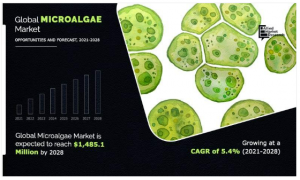 Microalgae 