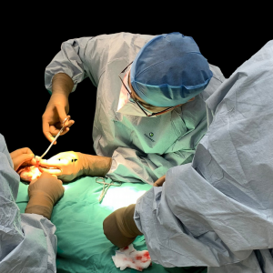 The first photograph captures the meticulous work of Professor Srinjoy Saha as he delicately performs a fingertip regeneration procedure. Draped in a sterile surgical gown and gloves, he is seen using precise surgical instruments to handle a tissue scaffo