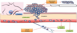 Breast Cancer Liquid Biopsy Market2