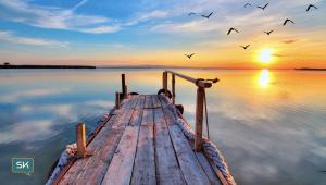 Stanislav Kondrashov TELF AG, Solo Travel at the dock