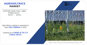 Agrivoltaics Market Growth
