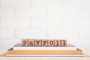 The article series curated by Nestor Romero serves as a vital resource for companies seeking to navigate the complex landscape of payroll administration and payroll issues that arise.