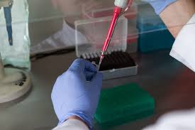 Nucleic Acid Isolation and Purification Market