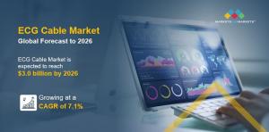 ECG Cables and Lead Wires Market Overview