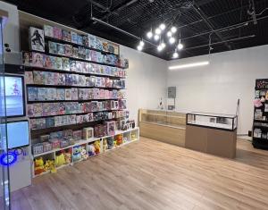 A photo of the inside of Anime Alley, Walls filled with anime figures and display cases filled with Pokemon