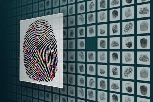 Image of a fingerprint. Caption: •	Neurotechnology is now leading in both fingerprint recognition template-generator and template-matcher categories, securing the overall top vendor position within the MINEX III evaluation.