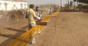 Karghewale weavers prepare warp yarns for set up on the loom.