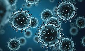 Seasonal Influenza Market Size Expected to Reach US$ 38,181.5 Million by 2033