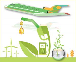 Aviation Biofuel