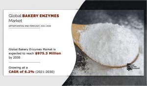 Bakery Enzymes 