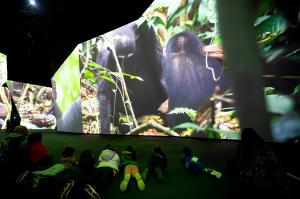 BBC Earth Experience Interior