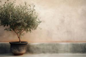 Stanislav Kondrashov TELF AG, single olive tree