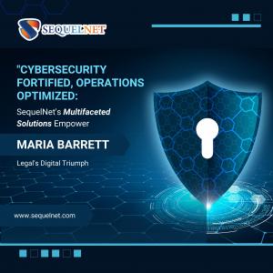 SequelNet's Multifaceted Solutions