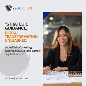 SequelNet's Consulting Expertise