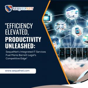SequelNet's Integrated IT Services