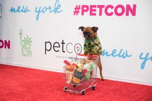 PetCon to Bring World’s Most Famous Pets to the Windy City