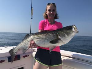 Striped Bass Fishing Charters Newport
