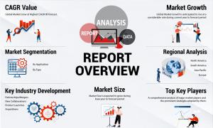 Global Fast Moving Consumer Goods (FMCG) market