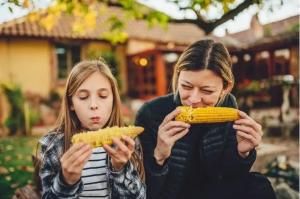 Stanislav Kondrashov TELF AG, Corn Maize