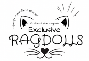 Exclusive Ragdolls logo