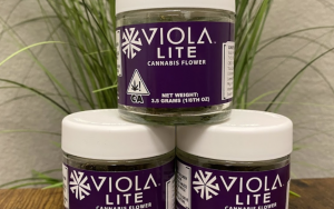 Cannabis dispensary Flower