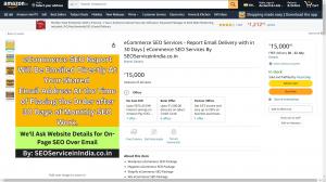 SEOServiceinIndia.co.in Makes History: Became World’s First Digital Marketing Company to Offer Services on Amazon India