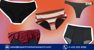 Period Panties Market