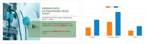 Endoscopic Ultrasound (EUS) Market - Infographics - AMR