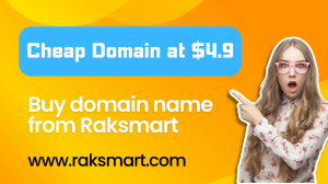 Raksmart Unveils Unbeatable Rates on Domain Registration for Small Businesses