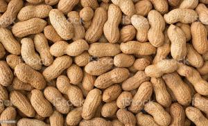 Peanuts