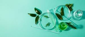 Green and Bio Polyols Market- insightSLICE