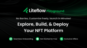 Liteflow Playground Release